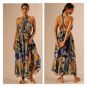 Anthropologie Alexandra Farmer Printed Maxi Dress